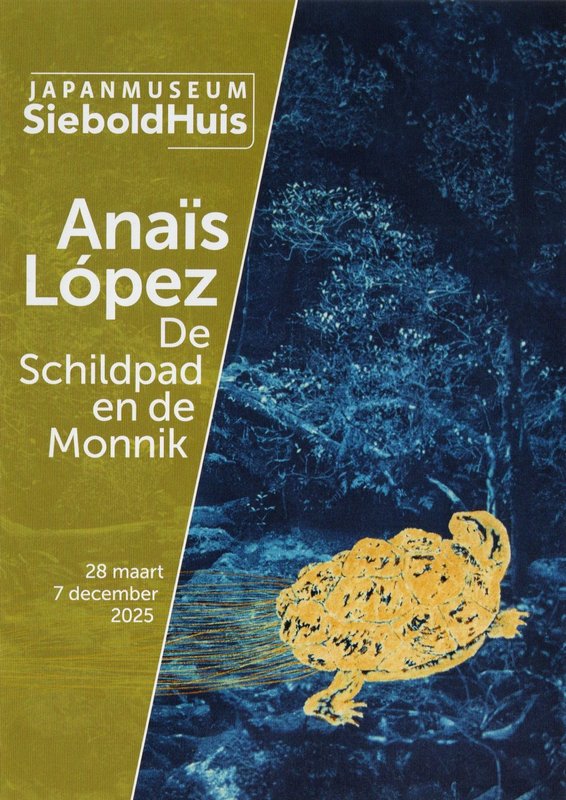 Anaïs López schildpad