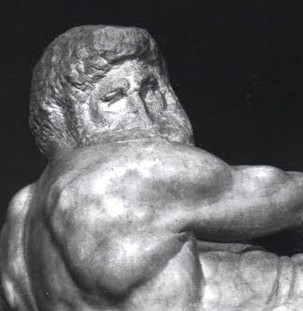 Michelangelo schouder